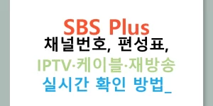 SBS Plus 채널번호, 편성표, IPTV·케이블·재방송 실시간 확인 방법!