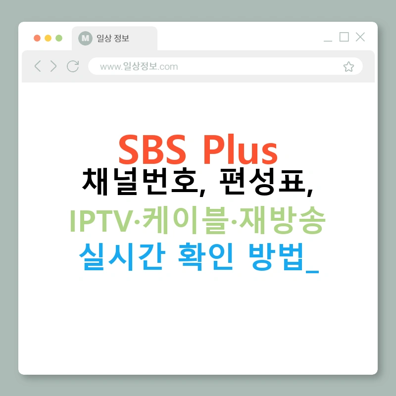 SBS Plus 채널번호, 편성표, IPTV·케이블·재방송 실시간 확인 방법!