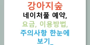 강아지숲 네이처풀 예약, 요금, 이용방법, 주의사항 한눈에 보기!