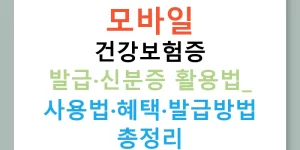 모바일 건강보험증 발급·신분증 활용법: 사용법·혜택·발급방법 총정리