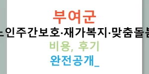 부여군 노인주간보호·재가복지·맞춤돌봄 비용, 후기 완전공개!