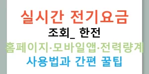 실시간 전기요금 조회: 한전 홈페이지·모바일앱·전력량계 사용법과 간편 꿀팁