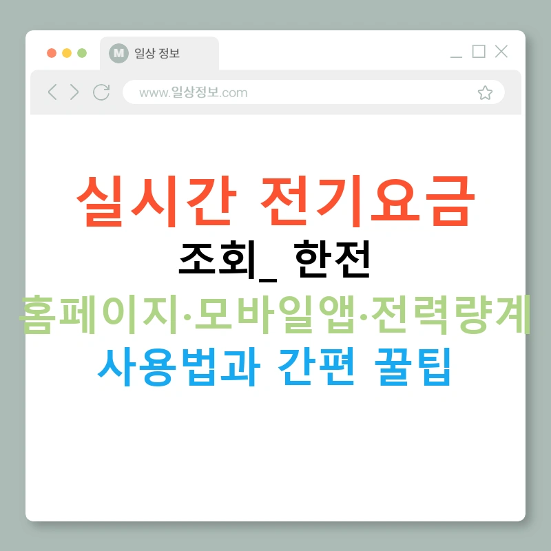 실시간 전기요금 조회: 한전 홈페이지·모바일앱·전력량계 사용법과 간편 꿀팁