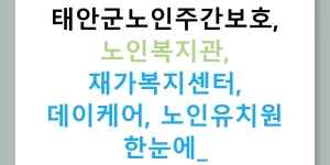 태안군노인주간보호, 노인복지관, 재가복지센터, 데이케어, 노인유치원 한눈에!