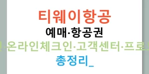 티웨이항공 예매·항공권 할인·온라인체크인·고객센터·프로모션 총정리!