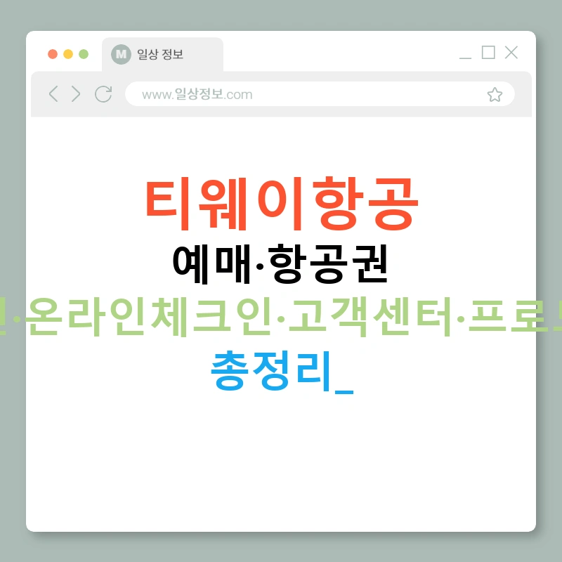 티웨이항공 예매·항공권 할인·온라인체크인·고객센터·프로모션 총정리!