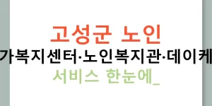 고성군 노인 주간보호·재가복지센터·노인복지관·데이케어·맞춤돌봄 서비스 한눈에!